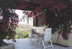 Pergola